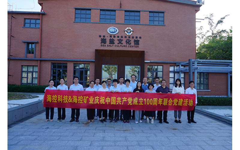学习党史，，，，，思念先烈，，，，，传承精神——石岩党支部主题党日活动