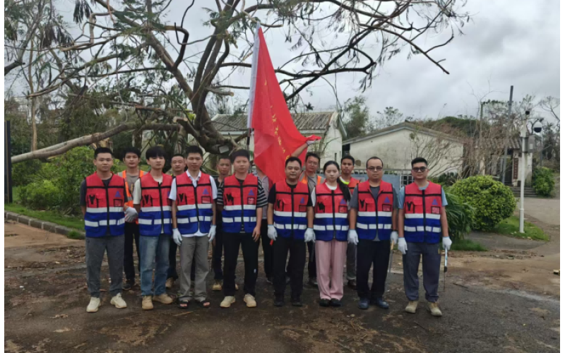 党旗飘扬战风雨，，，，，先锋引领促复工——三鑫晶品党员先锋队助力在建项目复工复产